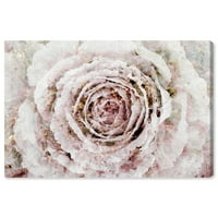 Студио Винвуд Студио Флорална и ботаничка wallидна уметност платно отпечатоци „руменило зимски цвет“ цвеќиња - розови, бели