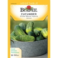 Burpee-cucumber, пакет за хибридни семе од барел од кисела барел