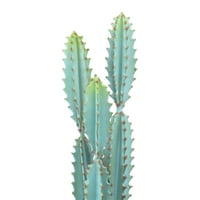 Креативен ко-оп-кактус во тенџере во боја на теракота