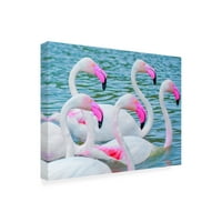 Бен Хајн 'Flamboyant of Flamingos 3' Canvas Art