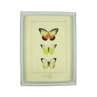 15,75 Ботаничка убавина Декоративна портокалова пеперутка врамена печатена wallидна уметност